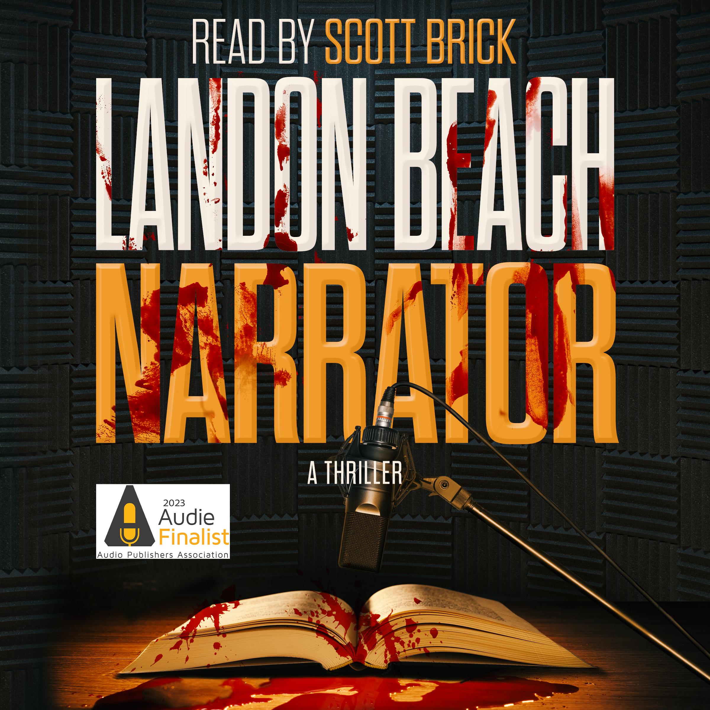 dfw-lb-narrator-cover-audiobook-badged